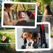 Cochecito para Mascota Acero, Tela Oxford PawHut Cochecito para Mascota Acero, Tela Oxford PawHut Rojo