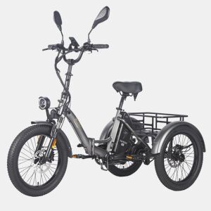 Triciclo Elétrico FAFREES F20 Mate - Motor 500W Bateria 48V21AH Freio Hidráulico Pneus De 20 Polegadas - Cinza