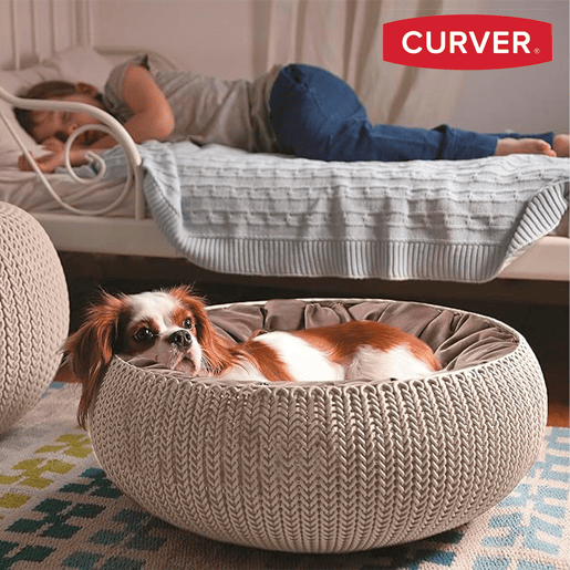 Cama para animais Curver calmofada almofadada