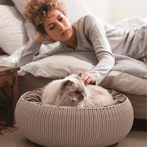 Cama para animais Curver calmofada almofadada