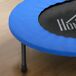Cama Elástica Acero, PVC, PP HOMCOM, deportes y ocio - fitness Cama Elástica Acero, PVC, PP HOMCOM, deportes y ocio - fitness Azul
