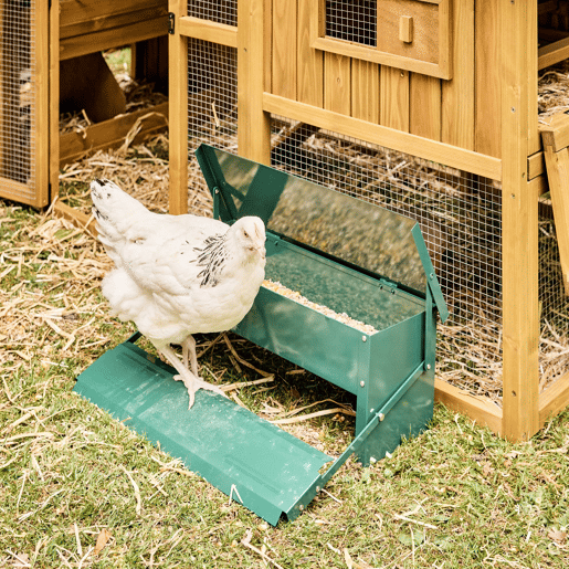 Comedouro automático para galinhas 5kg, Mangeoire à poules, Verde, 51x35x18.5 cm