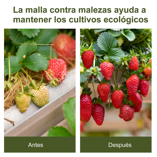 Outsunny Malha Geotêxtil 2x50 m Malha de jardim contra ervas daninhas 100 g  m² rolo de malha preto