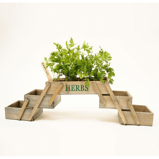 Mini jardim Cozinha ou Jardim Carvalho 71,5x15,5x18 Huerta Muebles Bonitos