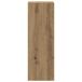 Mueble TV DREAM SPACE Mueble TV DREAM SPACE Roble Artisan