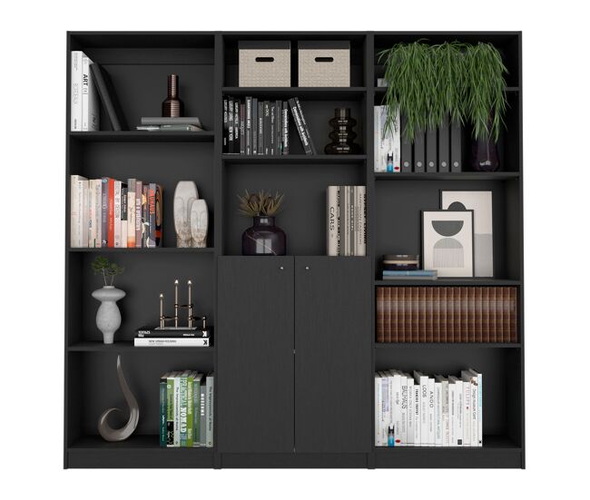 Combo de bibliotecas con diseño actual y funcionalidad