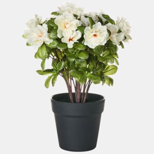 Planta artificial NOVELLA 36 cm Branco
