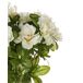 Beliani Planta artificial NOVELLA Beliani Planta artificial NOVELLA Blanco/ Verde