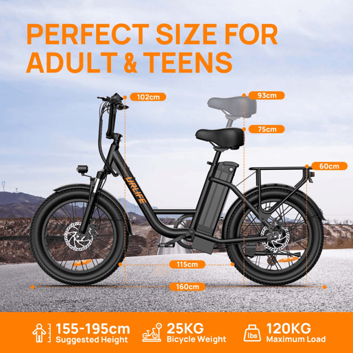 E-bike URLIFE E20 - Motor 250W Bateria 48V 13Ah Pneus de 20 Polegadas Freio a Disco - Preto