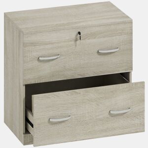 Vinsetto Armário para Arquivos com Gavetas para Escritório Armário de Arrumação de Escritório com Fechadura e 2 Chaves para Estúdio Dormitório 77x42x72 cm Madeira