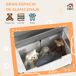 Baúl de Juguete MDF AIYAPLAY 68 Baúl de Juguete MDF AIYAPLAY 68 Gris