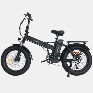 Windgoo F21 Pro Bicicleta Elétrica - Motor 250W Bateria 48V 12.5Ah 20x4.0 Polegadas Pneus - Preta