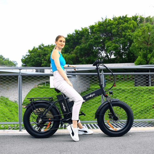 Windgoo F21 Pro Bicicleta Elétrica - Motor 250W Bateria 48V 12.5Ah 20x4.0 Polegadas Pneus - Preta