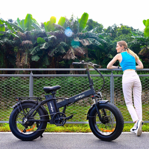 Windgoo F21 Pro Bicicleta Elétrica - Motor 250W Bateria 48V 12.5Ah 20x4.0 Polegadas Pneus - Preta