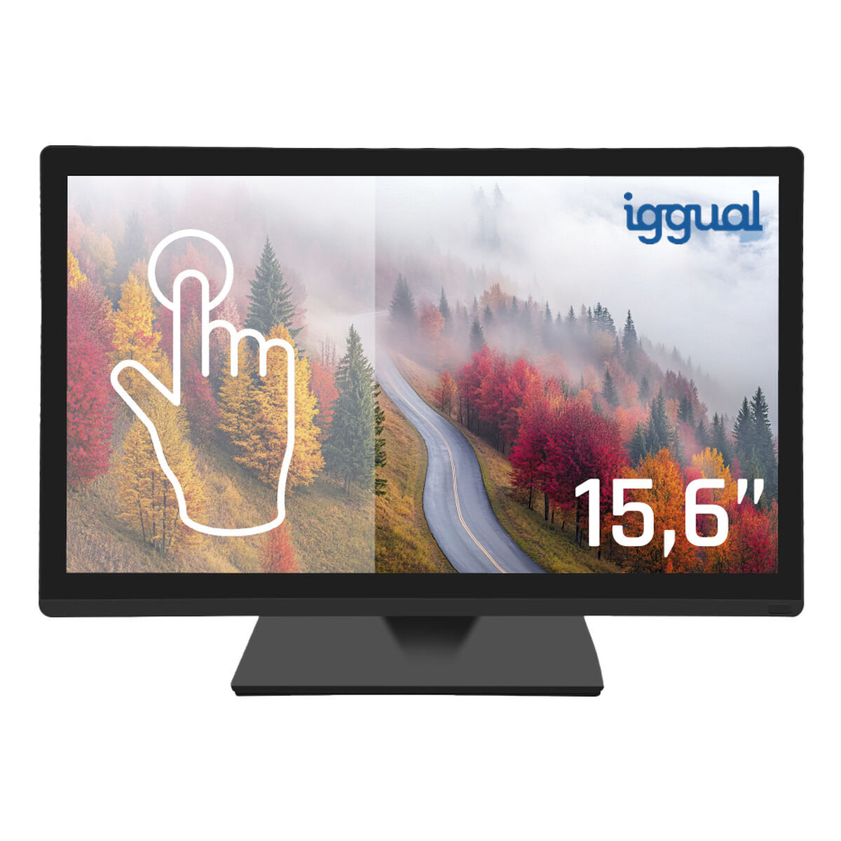 Monitor IGG319864