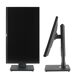 Monitor AA Monitor AA Negro