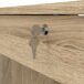 Escritorio FUNCTION 109x48 Escritorio FUNCTION 109x48 Roble