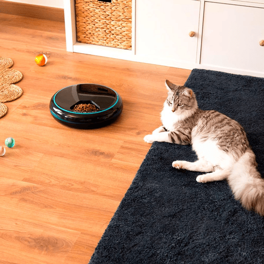 Cecotec Dispensador automático de alimentos para animais de estimação com 4 secções independentes, capacidade de 1,6 l, ecrã LED, temporizador e gravador de voz.
