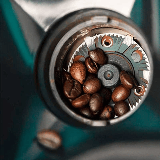 Cecotec Moinho elétrico de café de aço inoxidável com 150 W, 17 níveis de moagem e capacidade para 12 chávenas.