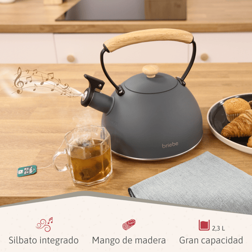Briebe SKT1177GRY Nordic Tostapane a Fessura Larga a 2 Fette+ Chaleira de Indução com Apito, 2,3 L, 870, Cinza