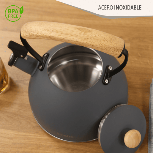 Briebe SKT1177GRY Nordic Tostapane a Fessura Larga a 2 Fette+ Chaleira de Indução com Apito, 2,3 L, 870, Cinza