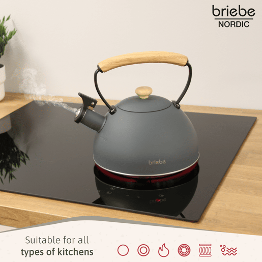 Briebe SKT1177GRY Nordic Tostapane a Fessura Larga a 2 Fette+ Chaleira de Indução com Apito, 2,3 L, 870, Cinza