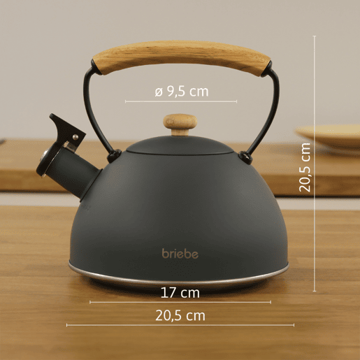 Briebe SKT1177GRY Nordic Tostapane a Fessura Larga a 2 Fette+ Chaleira de Indução com Apito, 2,3 L, 870, Cinza