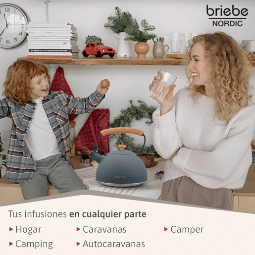 Briebe SKT1177GRY Nordic Tostapane a Fessura Larga a 2 Fette+ Chaleira de Indução com Apito, 2,3 L, 870, Cinza