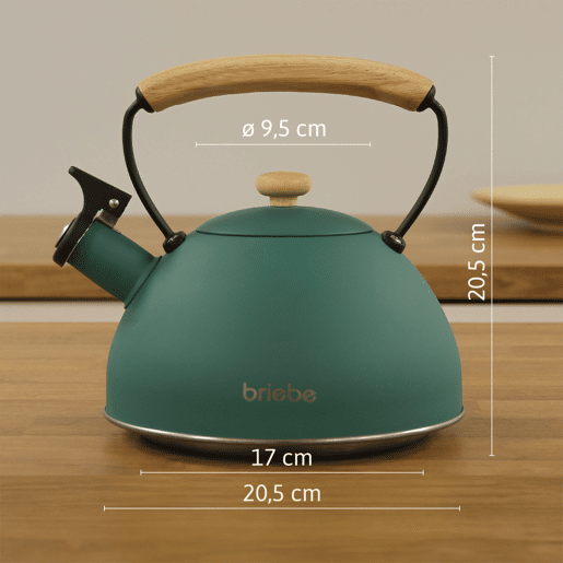 Briebe SKT1177GRE Nordic Tostapane a Fessura Larga a 2 Fette+ Chaleira de Indução com Apito, 2,3 L, 870, Verde
