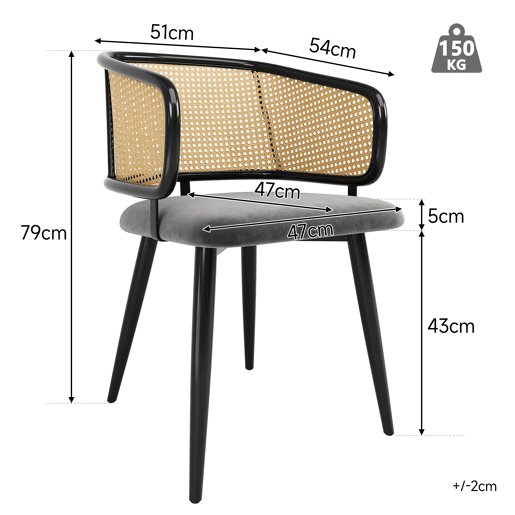Cadeiras de sala de jantar 2 peças - encosto em rattan, almofada em veludo, estilo moderno e simples - Cinza