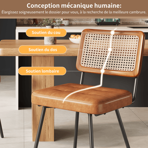 Conjunto de 4 cadeiras de jantar - Cadeira ergonómica de luxo - Estilo retro - Castanho Conjunto de 4 cadeiras de jantar - Cadeira ergonómica de luxo - Estilo retro - Castanho