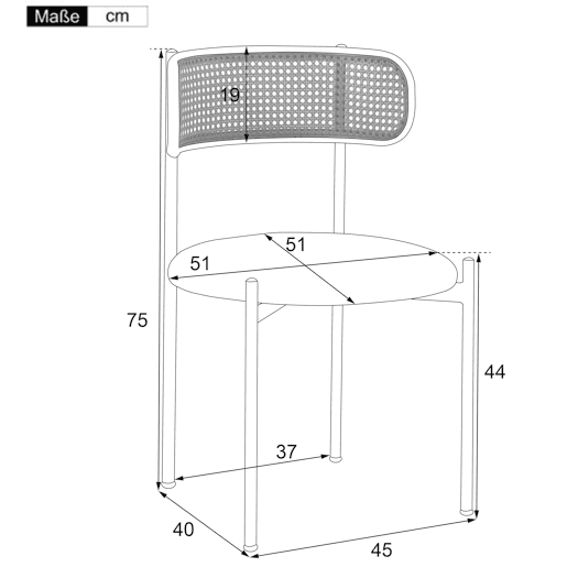 Cadeira de sala de jantar 6 unidades - moderna, simples, com quatro pernas de metal, cadeira de rattan, para sala de estar e quarto - Preto