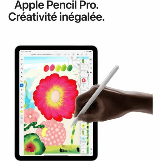 Tablet Apple Mauve 11 M3 8 GB RAM 1 TB