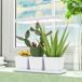 Luz Crecimiento Plantas PP, Aluminio Outsunny Luz Crecimiento Plantas PP, Aluminio Outsunny Blanco