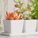 Luz Crecimiento Plantas PP, Aluminio Outsunny Luz Crecimiento Plantas PP, Aluminio Outsunny Blanco