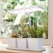 Luz Crecimiento Plantas PP, Aluminio Outsunny Luz Crecimiento Plantas PP, Aluminio Outsunny Blanco