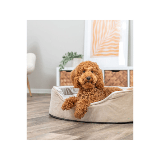 Cama para cão Trixie Vital Lino Soft Bege Creme 60 x 45 cm Cama para cão Trixie Vital Lino Soft Bege Creme 60 x 45 cm