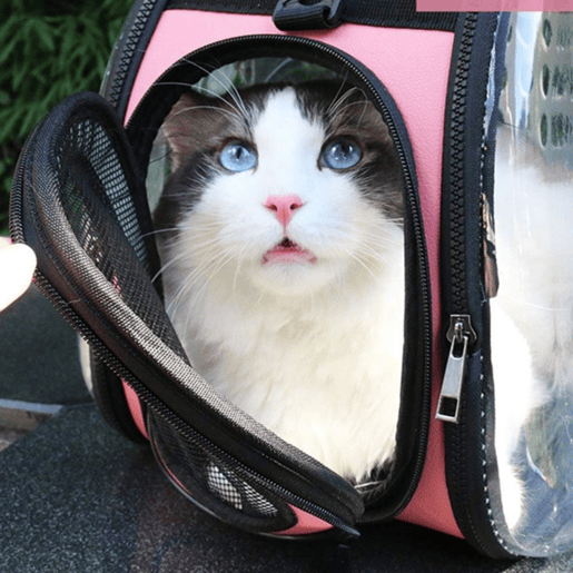 WELL HOME - Pequena caixa de transporte dobrável para animais de estimação