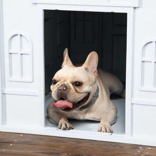 PawHut Casa para Cães 65x75,7x63 cm Casa para Cães com Janelas e Teto com Telhas de Imitação para Cães Médios Azul e Branco