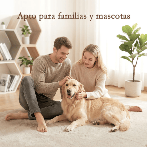 HOMCOM Tapete para Sala de Estar 120x160 cm Tapete Lavável à Máquina Pelo Longo Macio Estilo Moderno Tapete para Sala de Estar Quarto Sala de Jantar Creme