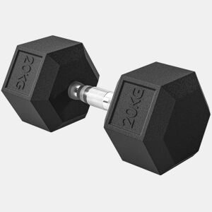 HOMCOM Haltere Hexagonal 20 kg de Ferro Fundido Haltere de Metal Revestido de Borracha com Cabo para Treino em Casa Ginásio e Escritório Preto e Prata