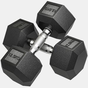 HOMCOM Conjunto de 2 Halteres Hexagonais 12,5 kg (25 kg Total) Ferro Fundido Revestidos em Borracha com Pega Anti-Deslizante para Musculação em Casa ou Ginásio Preto e Prateado