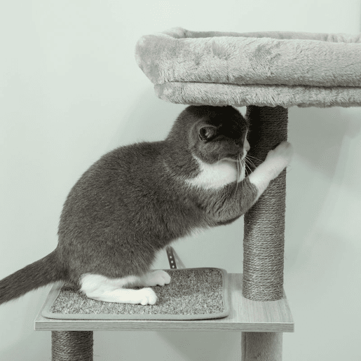PawHut Arranhador para Gatos com Plataforma Altura 126 cm Torre de Escalar para Gatos com Rede Caverna Cama Postes de Sisal e Bolas de Brincar 48x40x126 cm Cinza