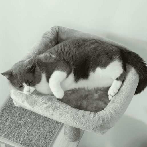 PawHut Arranhador para Gatos com Plataforma Altura 126 cm Torre de Escalar para Gatos com Rede Caverna Cama Postes de Sisal e Bolas de Brincar 48x40x126 cm Cinza