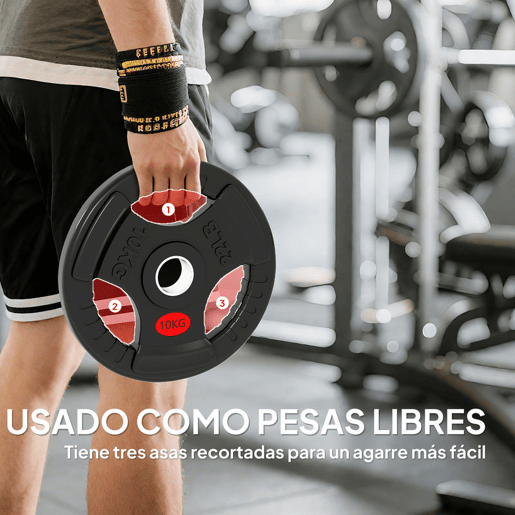 SPORTNOW Discos de Pesos com Orifício de Ø50 mm 2 Discos de 10 kg com Anel Interior de Aço e Triplo Aperto para Halteres e Barras Treino Fitness em Casa Ginásio Ø32x4,5 cm Preto