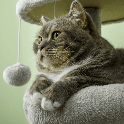 PawHut Arranhador para Gatos Altura 104 cm Arranhador para Gatos Torre de Escalada com Postes Arranhadores de Sisal Cova Plataformas e Bolas Suspensas 65x30x104 cm Cinzento Claro