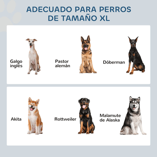 PawHut Comedouro Elevado para Cães Comedouro para Cães com 2 Tigelas de Aço Inoxidável e Espaço de Armazenamento Oculto 60x30x41 cm Cinzento