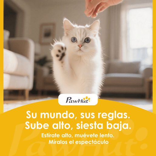 PawHut Casa para Gatos de Cartão Forma de Castelo Arranhador para Gatos de 2 Níveis com 3 Zonas de Arranhar Túnel, Rampa Inclui Erva para Interior 78x66x57 cm Castanho
