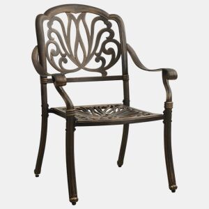 Lote de 2 Cadeiras de jardim - Cadeiras de exterior alumínio fundido bronze
