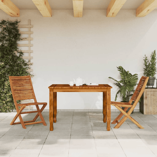 Lote de 2 Cadeiras de jardim - Cadeiras de exterior dobráveis madeira de acácia maciça
